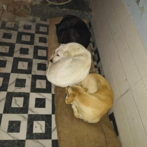 47fed50b-49f6-4fc7-8353-03bf7535fb12