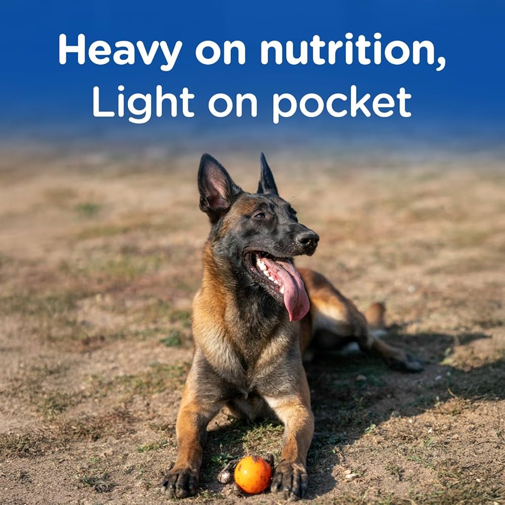 CHAPPI ADULT (1+ YEARS ) DRY DOG FOOD, CHICKEN & RICE,20KG,COMPLETE AND BALANCED FOOD FOR ADULT DOGS