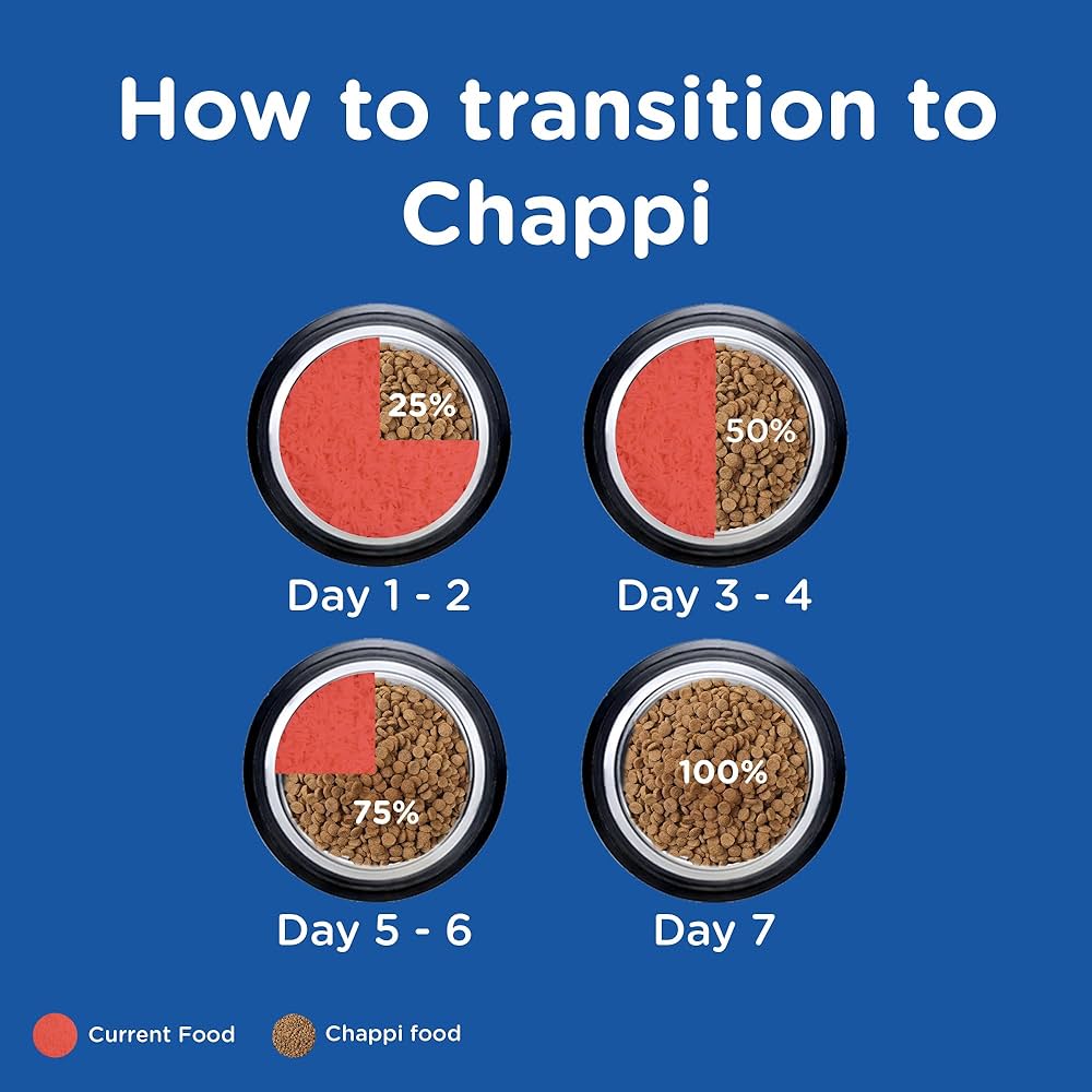 CHAPPI ADULT (1+ YEARS ) DRY DOG FOOD, CHICKEN & RICE,20KG,COMPLETE AND BALANCED FOOD FOR ADULT DOGS - Image 9