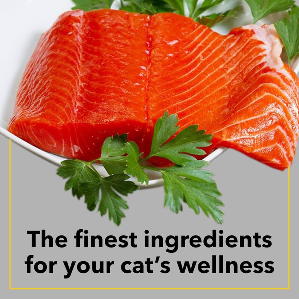 Purepet adult dry cat food 6kg| sea food flavour| taurine for healthy heart | healthy skin & beautiful coat | control urinary pH | hair ball protection - Image 5