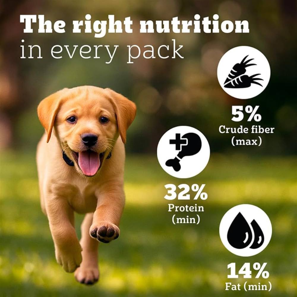 PEDIGREE PRO EXPERT NUTRITION ACTIVE PUPPY DOG FOOD | PEDIGREE CHICKEN AND VEGETABLES PUPPY DOG DRY FOOD | (10KG) - Image 10