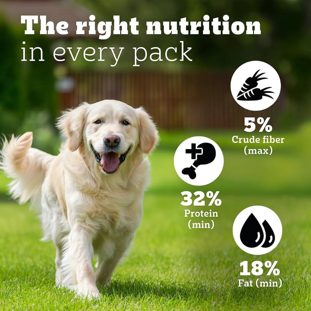 PEDIGREE PRO MOTHER & PUP STARTER LARGE BREED, 10KG DRY DOG FOOD, VET TRUSTED BRAND, EXPERT NUTRITION, QUALITY PROTEIN, 33% MORE NUTRIENT (3-12 WEEKS) |(10KG) - Image 4