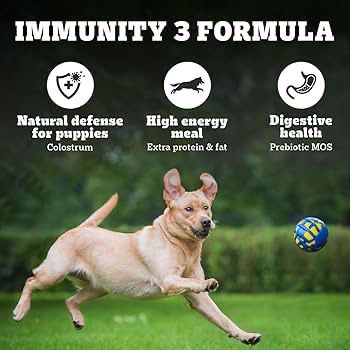 PEDIGREE PRO MOTHER & PUP STARTER LARGE BREED, 10KG DRY DOG FOOD, VET TRUSTED BRAND, EXPERT NUTRITION, QUALITY PROTEIN, 33% MORE NUTRIENT (3-12 WEEKS) |(10KG) - Image 6