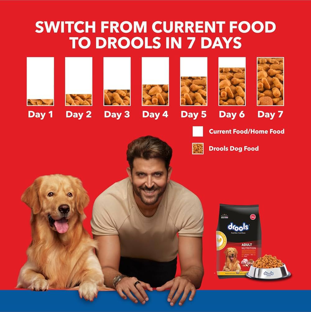 DROOLS ADULT DRY DOG FOOD 10KG | CHICKEN & EGG FLAVOUR | OMEGA 3 & 6 FOR HEATHY GROWTH | BETTER DIGESTIBILITY & HEALTH | MAINTAINS JOINT HEALTH | MAINTAINS JOINT HEALTH | HELPS CONTROL TARTAR BUILD UP | (10KG) - Image 3