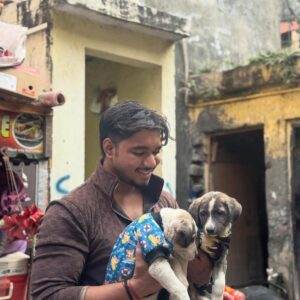 b8b02e68-213b-49c0-bd11-c1eec5c87487