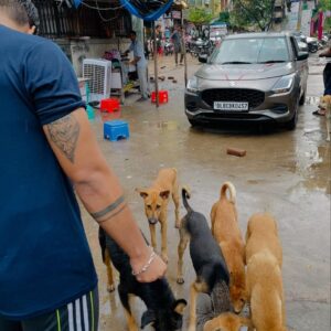 f5bc587b-411a-4906-ac80-9d8ba25f0cb7