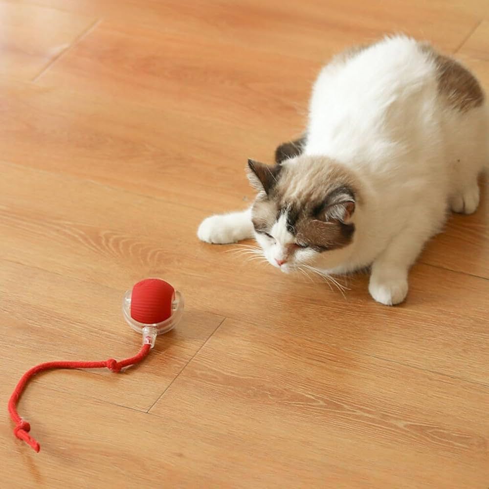 Electric Cat Ball Toys Automatic Rolling Smart TOYS INTERACTING FOR CATS - Image 8