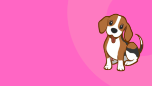 Hunk Pet Shop