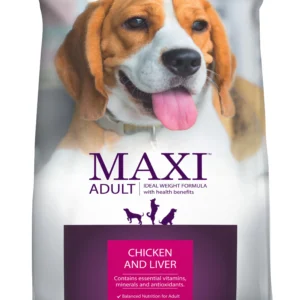 Maxi Adult Dry Dog Food 20 kg Pack | Chicken and Liver Flavour