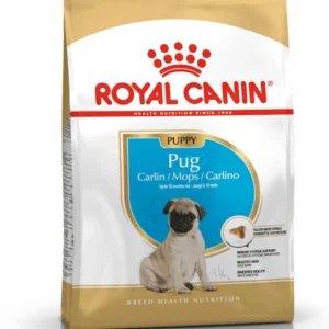 Royal Canin Pug Puppy Dry Food Meat 1.5 kg Dry Young Puppy Food